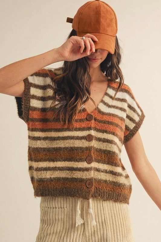 Sunset Views Stripe Sweater Vest