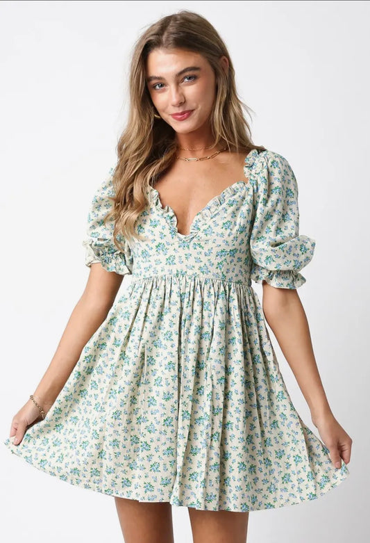 Spring Time Romance Linen Dress